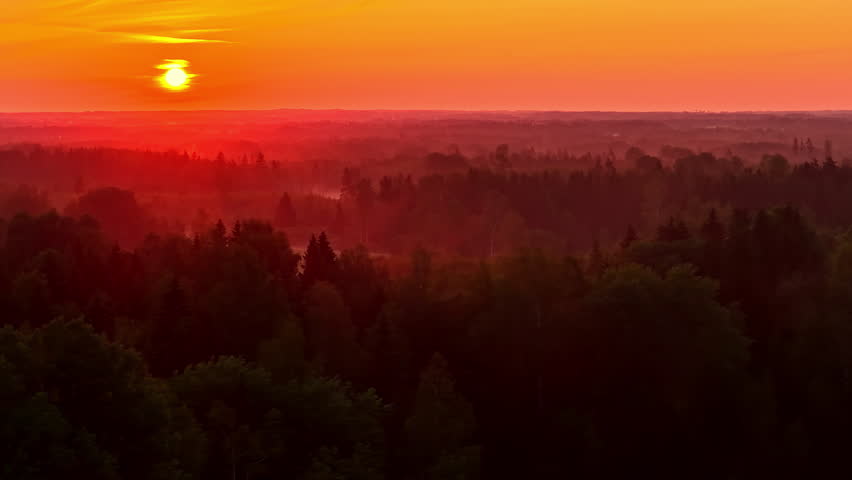 Misty forest and bright sunrise or sunset, aerial drone view
