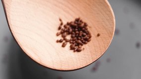 Chocolate coffee spice granules falling onto a wooden spoon in slow motion. - Powered by Shutterstock - Get 15% off with code: PIKWIZARD15