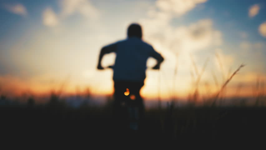 Little boy spending summer vacation in country, child riding bike alone in field . Merry childhood moments, memories for all life, move to dream, development of endurance, leadership for children