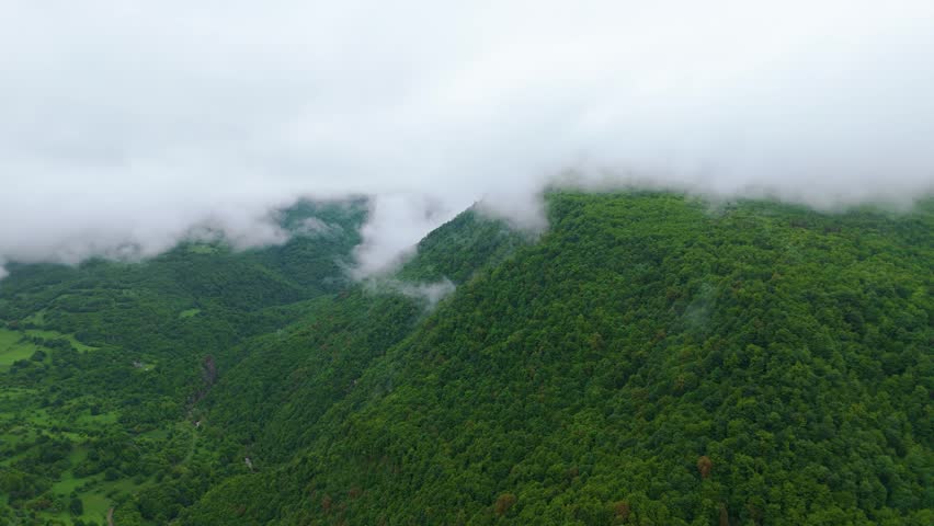  Aerial View of Fog Slowly Moving Over Forest. Aerial view of soft fog slowly drifting over a dense green forest, partially covering the treetops. Perfect for themes of nature, weather, wilderness. 