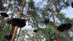 Kid in a helmet and harness conquering a high-ropes park. Active summer vacation concept.Fun recreation: A child makes their way through a multi-level adventure course built in a pine forest - Powered by Shutterstock - Get 15% off with code: PIKWIZARD15