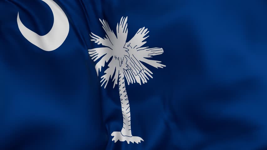 South Carolina US state flag swaying in the wind, looped endless cycled video, completely full screen covers flag background