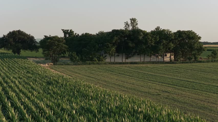Aerial flight over Green and lush Agricultural fields of soy on sunset. Vojvodina, Serbia, Europe.