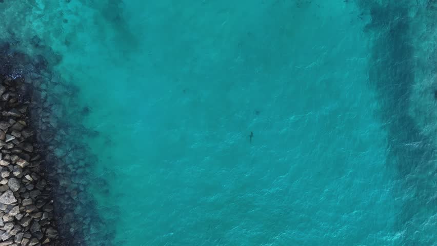 Aerial view of a boat in turquoise water near a rocky shoreline, contrasting textures and tones, creating a serene coastal scene, Gulhi, Kaafu Atoll, Maldives.