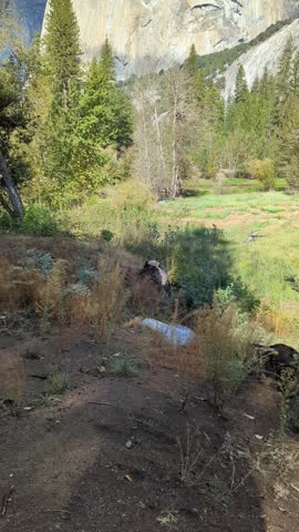 El Capitan rock at Yosemite National park in the fall. This video pans up for the valley floor showing off the textures and colors of fall set against this famous rock.
