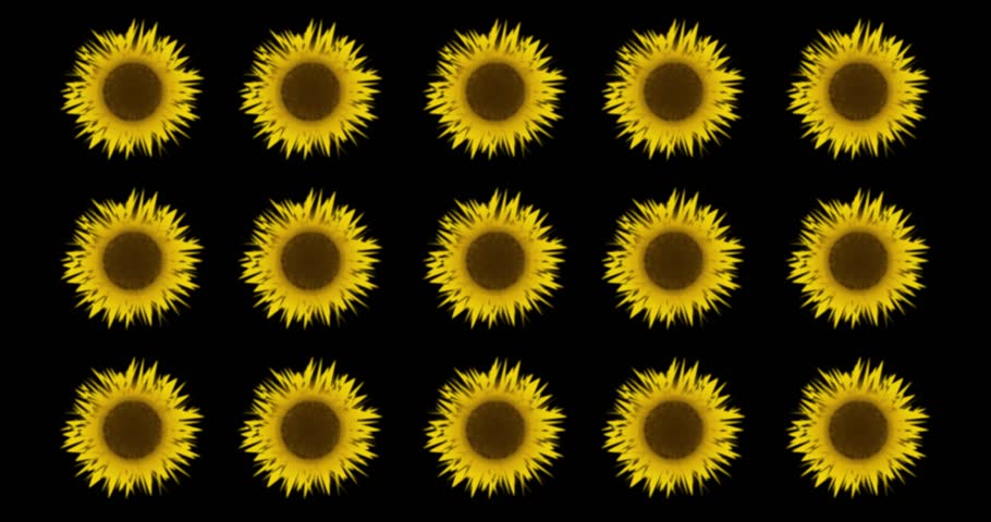 Sunflowers Pattern on Black Background