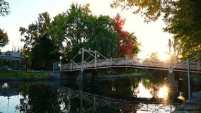 Tranquil autumn park with calm lake in the middle, vertical video. - Powered by Shutterstock - Get 15% off with code: PIKWIZARD15