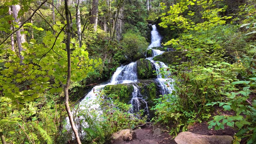 Majestic Waterfall Cascading Through Lush Green Forest in British Columbia, Canada.