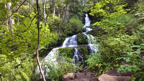 Majestic Waterfall Cascading Through Lush Green Forest in British Columbia, Canada. - Powered by Shutterstock - Get 15% off with code: PIKWIZARD15