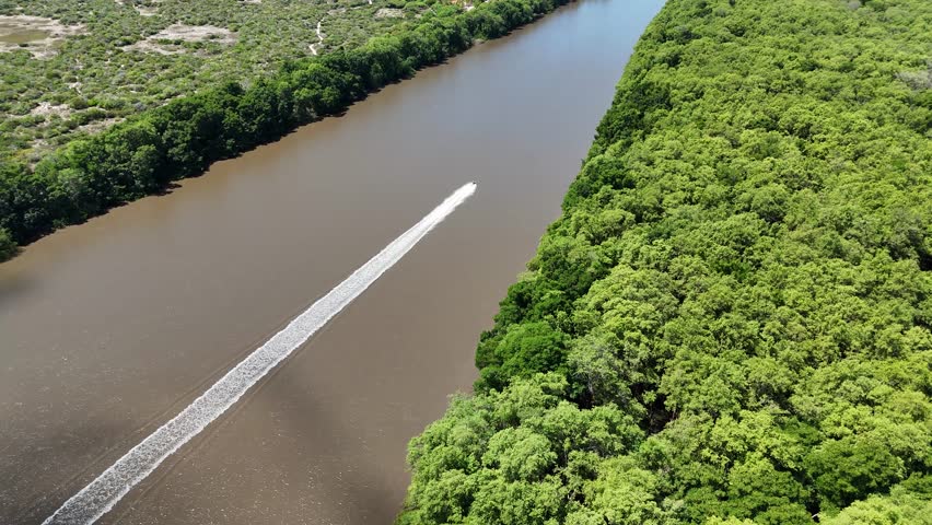 Boat Trip At Parnaiba In Piaui Brazil. Boat Tour. Rainforest Scene. Boat Trip At Parnaiba In Piaui Brazil. Delta Of The Americas Landscape. Mangrove Skyline. Parnaiba Delta.