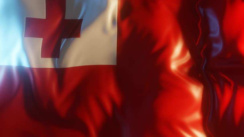 Tonga Flag Frontal Close up View 3D Render