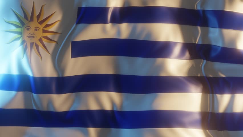 Uruguay Flag Frontal Close up View 3D Render