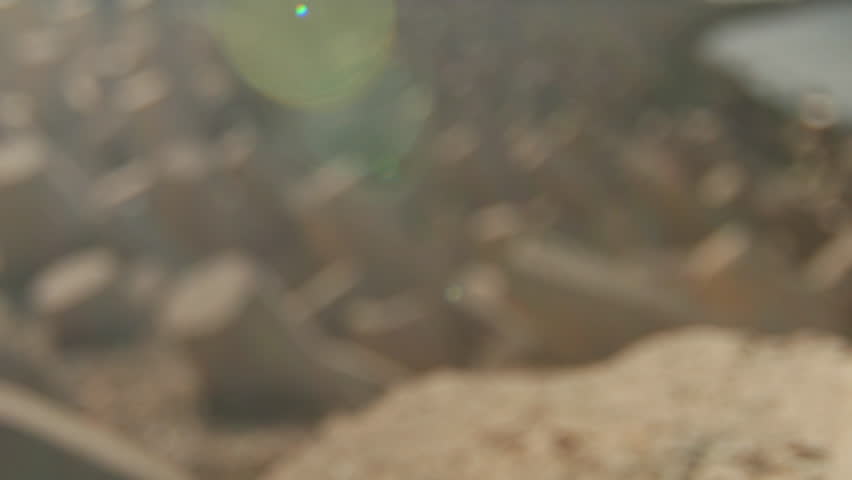 Shutterstock Video