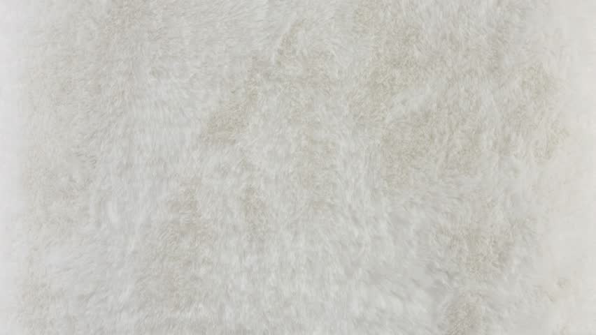Slow Zoom Reveals Plush White Fur Surface Close-Up