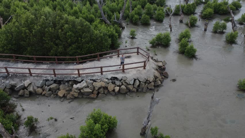 aerial panoramic view of male model flying drone at the swampy mangrove beach landscape