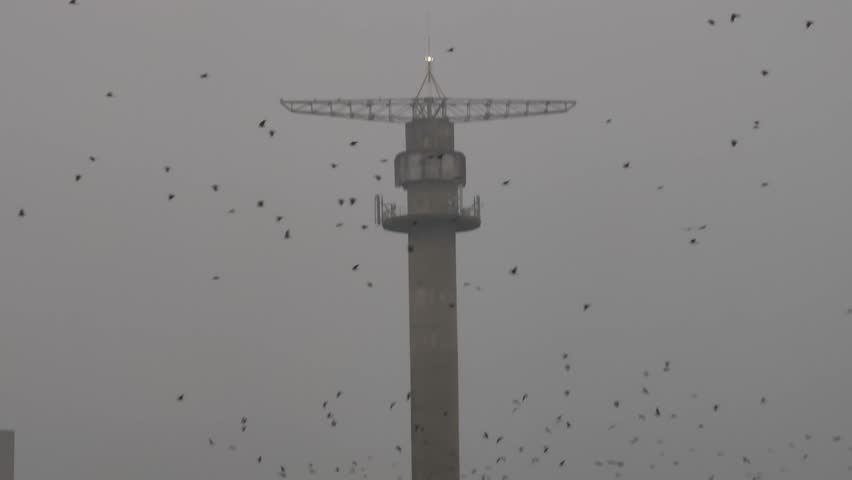 Crows flying over a parachute tower