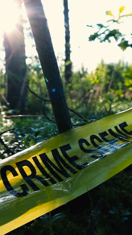 Vertical video of a yellow colored Crime Scene Do Not Enter police caution tape ribbon abandoned on a forest ground during a sunny day with light and lense flare. Tape is wrinkled and well lit.