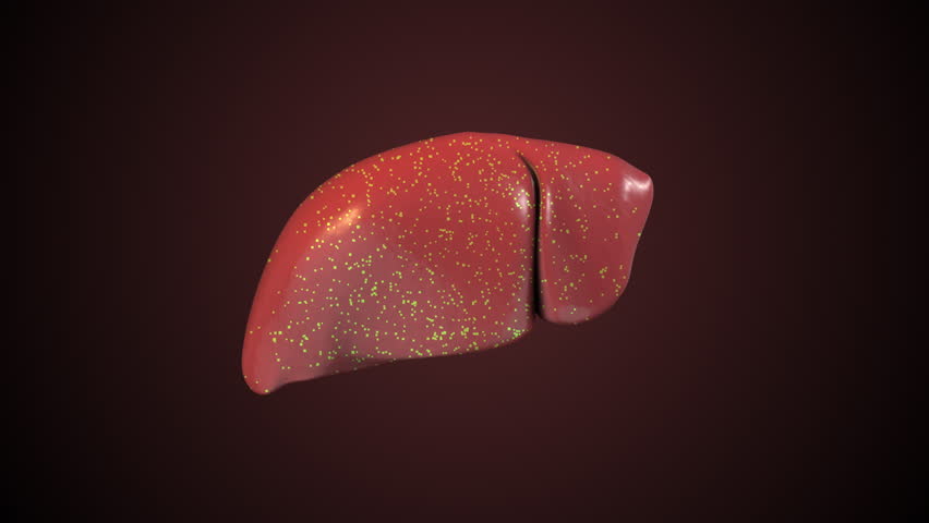 Digestive Bile Formed by Liver Cells