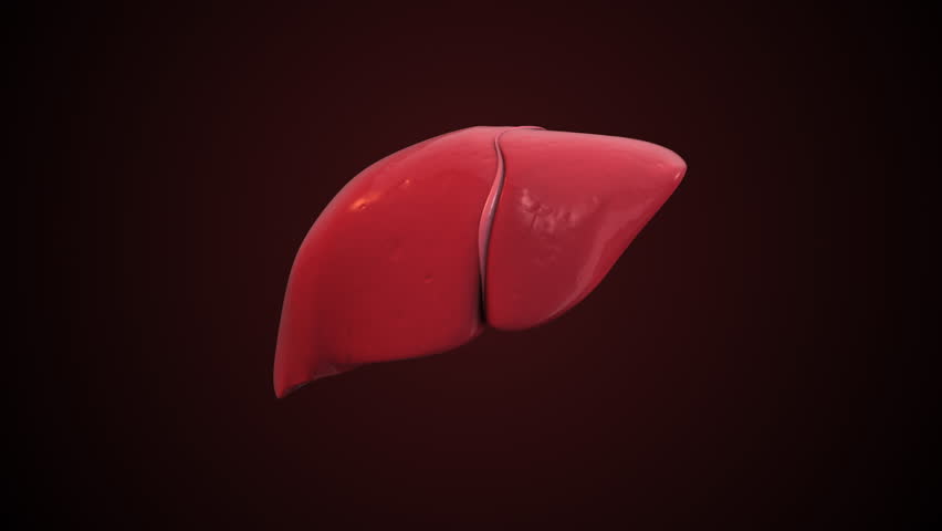 Severe Chronic Hepatitis B Medical Animation