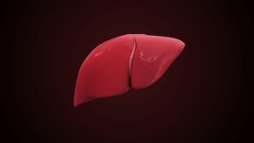 Severe Chronic Hepatitis B Medical Animation - Powered by Shutterstock - Get 15% off with code: PIKWIZARD15