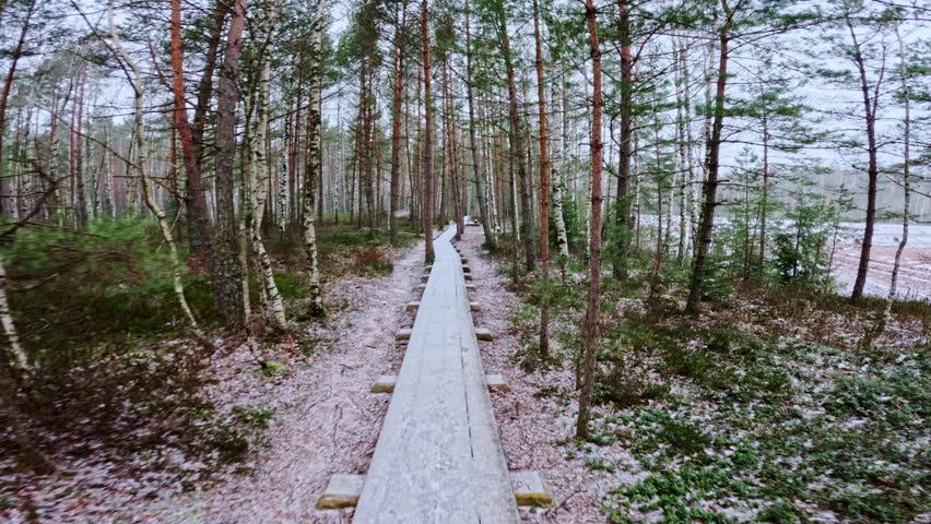 Wide angle POV footage on narrow wooden trail in snowy Latvian wetland forest