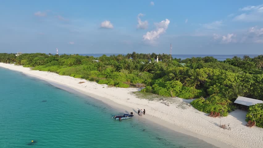 Aerial view of island with lush trees, Maldives.
