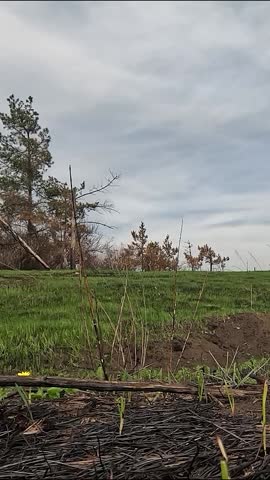 The moment of the explosion of the mine in the field. After the explosion, a column of fire, smoke rises, and debris flies. Mine explosion. Mine danger. Mined areas during a real war