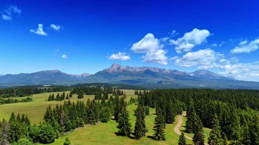 Flying above pine trees growing in the valley. Spectacular view on the Tatra Mountains at backdrop. Slovakia wildlife.