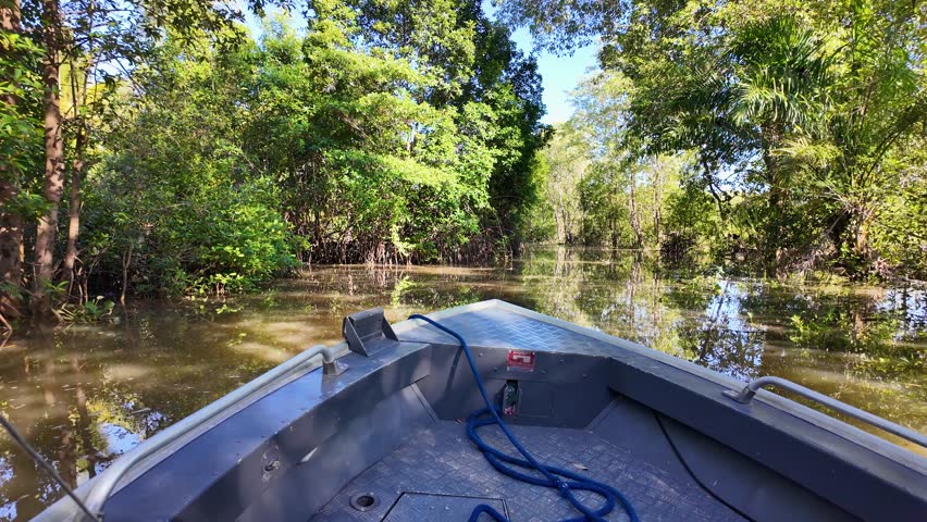 Boat Trip At Parnaiba In Piaui Brazil. Boat Tour. Rainforest Scene. Boat Trip At Parnaiba In Piaui Brazil. Delta Of The Americas Landscape. Mangrove Skyline. Parnaiba Delta.