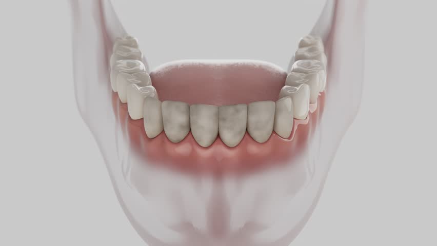Shutterstock Video