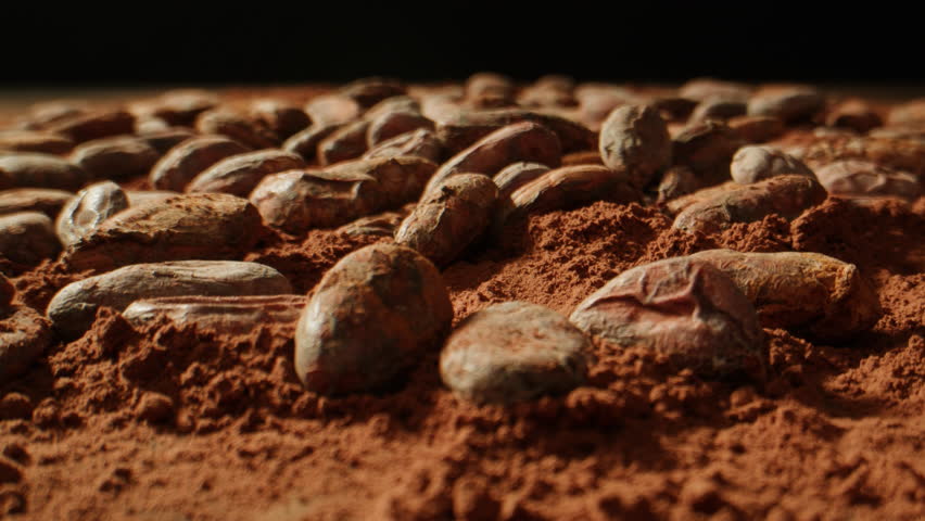 Cocoa beans macro, Roasted Cacao or cocoa bean falling slow motion close-up shot, chocolate production line, texture background.