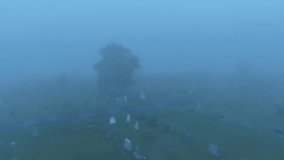 Drone flying down in a complete blue sky, revealing a cemetery in heavy fog, during blue hour at dusk.  A lonely maple tree overlooks the tombstones.  - Powered by Shutterstock - Get 15% off with code: PIKWIZARD15