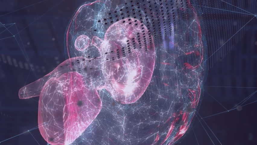 Animation of network of connections over human brain and globe. Global science, connections, networks and data processing concept digitally generated video. - Powered by Shutterstock - Get 15% off with code: PIKWIZARD15