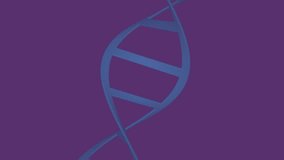 Animation of clock over dna strand on purple background. Global science, time and digital interface concept digitally generated video. - Powered by Shutterstock - Get 15% off with code: PIKWIZARD15