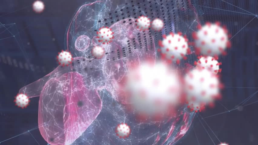 Animation of virus cells and globe over spinning brain. Global science, technology and digital interface concept digitally generated video. - Powered by Shutterstock - Get 15% off with code: PIKWIZARD15