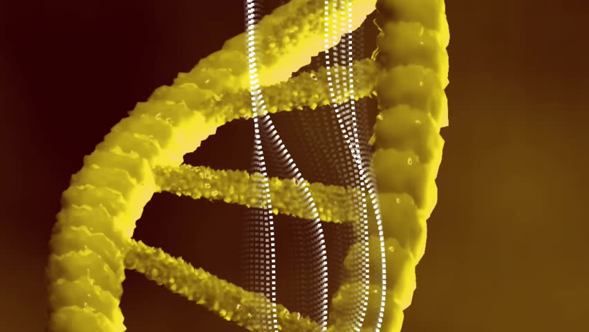 Animating DNA strand and wave patterns, scientific data in motion. Science, genetics, biotechnology, animation, research, molecular - Powered by Shutterstock - Get 15% off with code: PIKWIZARD15