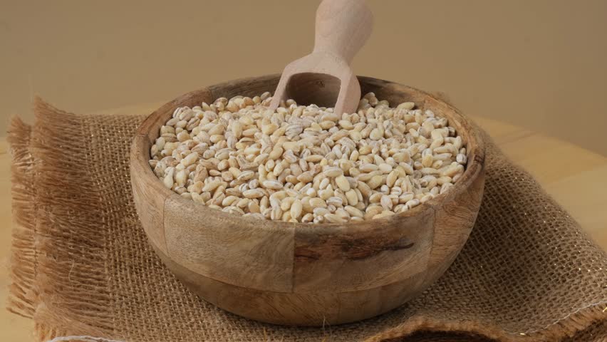 Pearl barley in neutral beige background. Whole spelt grain species. High protein fiber-rich vegan plant based food ingredient. Gluten free superfood healthy nutritional dietary alternative