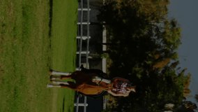 Financial data charts animation over person riding horse in grassy field. Finance, horseback, nature, outdoor, economy, technology - Powered by Shutterstock - Get 15% off with code: PIKWIZARD15