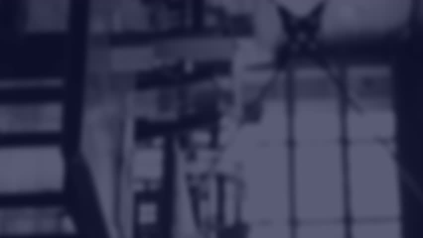 Animation of screens with data processing over cityscape. Global business, connections, computing and data processing concept digitally generated video. - Powered by Shutterstock - Get 15% off with code: PIKWIZARD15