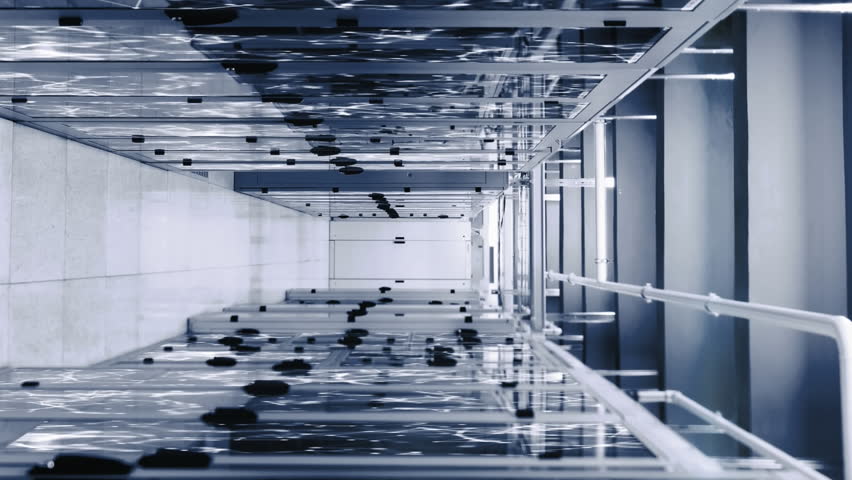 Animation of data processing over server room. Global business and digital interface concept digitally generated video. - Powered by Shutterstock - Get 15% off with code: PIKWIZARD15