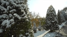 Celebrate the festive season with this joyful Christmas animation featuring snowy pine trees and black marks, perfect for holiday greetings, slideshows, and New Year’s projects. - Powered by Shutterstock - Get 15% off with code: PIKWIZARD15