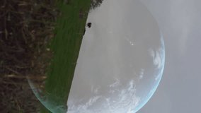 Animation of financial data processing over earth and wind turbines. global environment, sustainability and finance concept digitally generated video. - Powered by Shutterstock - Get 15% off with code: PIKWIZARD15