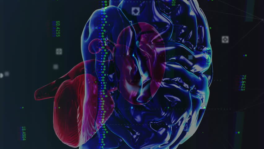 Animation of human brain and digital data processing over globe. Global science, artificial intelligence, onnections, computing and data processing concept digitally generated video. - Powered by Shutterstock - Get 15% off with code: PIKWIZARD15