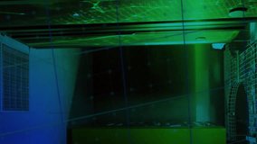 Green line graph animation over server room with blue lighting. Analytics, data, technology, digital, futuristic, network - Powered by Shutterstock - Get 15% off with code: PIKWIZARD15