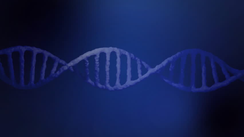 On HUD start stylized DNA helix gliding right rotating through color spectrum visualizing data flow. Futuristic, science, visualization, technology, digital, interface, innovation - Powered by Shutterstock - Get 15% off with code: PIKWIZARD15