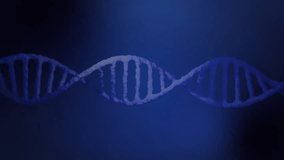 On HUD start stylized DNA helix gliding right rotating through color spectrum visualizing data flow. Futuristic, science, visualization, technology, digital, interface, innovation - Powered by Shutterstock - Get 15% off with code: PIKWIZARD15