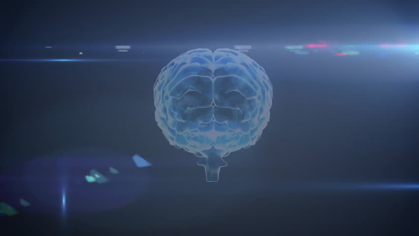 On start holographic brain appearing on grid, rotating with code overlays scanning neural analysis. Neural, futuristic, digital, interface, hologram, analysis, technology
