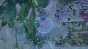 This video shows a female florist taking a picture of flowers with her mobile phone in a flower shop. The video then shows animation of neon circles over a digital screen with financial data and - Powered by Shutterstock - Get 15% off with code: PIKWIZARD15