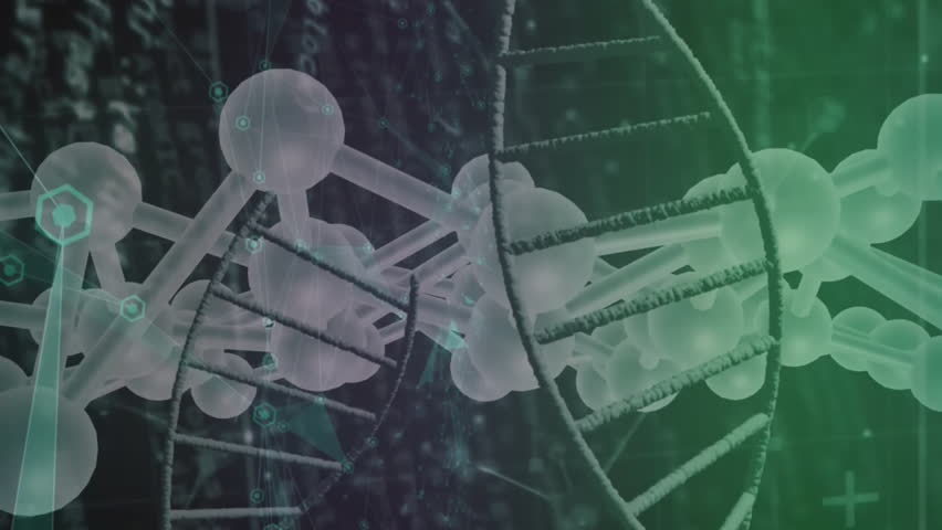 Animation of dna strands over data processing. Global technology and digital interface concept digitally generated video. - Powered by Shutterstock - Get 15% off with code: PIKWIZARD15