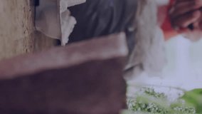 Planting seeds in pots, social media notifications animation over gardening activity. containers, technology, interaction, hobby, nature, digital - Powered by Shutterstock - Get 15% off with code: PIKWIZARD15